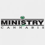 Ministry of Cannabis Ultra White Amnesia semena neobsahují THC 2 ks – Hledejceny.cz
