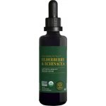 Global Healing Organic Elderberry & Echinacea 59,2 ml – Hledejceny.cz