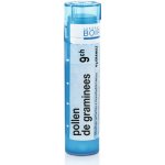 POLLEN DE GRAMINEES POR 9CH GRA 4G – Hledejceny.cz