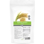 VIESTE GROUP Bio rýžový protein z hněd.rýž. 350 g – Hledejceny.cz