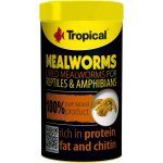 Tropical Meal Worms 250 ml – Zboží Dáma