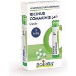RICINUS COMMUNIS POR 5CH GRA 3X4G – Zboží Dáma