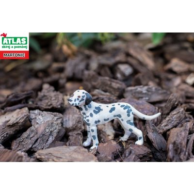 Atlas B Pes Dalmatin – Zboží Mobilmania