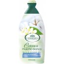 Sprchový gel L'Angelica Officinalis Cotone e Muschio Bianco sprchový gel 500 ml