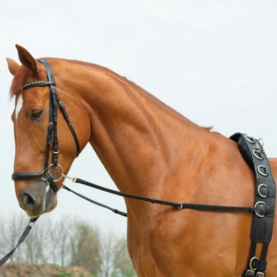 Lonzovaci Potreba Busse Oteze Vyvazovaci Basic Cerna Seznamzbozi Cz