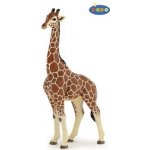 Papo Žirafa samec – Zboží Mobilmania