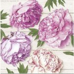 Ubrousek 33x33 cm PIVOŇKY 20ks – Hledejceny.cz