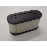 VeGA Vzduchový filtr ( WTLXG029000 ) – Hledejceny.cz