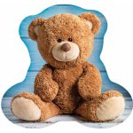 Carbotex 3D polštář Medvídek Teddy 37x36 – Hledejceny.cz