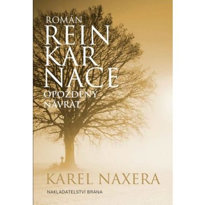 Reinkarnace - Opožděný návrat – Hledejceny.cz