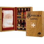 Dębowa Lesná Apotéka 8 x 37,88% 0,05 l 0,4 l (kazeta) – Hledejceny.cz