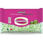 Inodorina Ubrousky Chlorhexidine 40 ks – HobbyKompas.cz