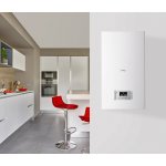 Protherm Ray 24KE 0010023676 – Zboží Dáma