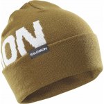Salomon Hermitage beanie LC2630000 brilliant olive – Hledejceny.cz