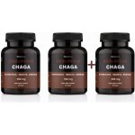 Královská Chaga pro podporu vitality 3 x 60 kapslí – Hledejceny.cz