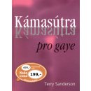 kámasútra pro gaye - Terry Sanderson