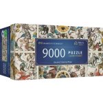 TREFL UFT Staré nebeské mapy souhvězdí 9000 dílků – Zboží Dáma