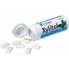 Žvýkačka Xylitol Chewing Gum, pepermint, 30 ks