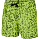 Aqua Speed plavecké šortky Finn Green/Shells Print