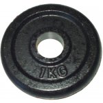 KUBISPORT CW1K Kotouč litina 1 kg 25 mm – Zboží Mobilmania