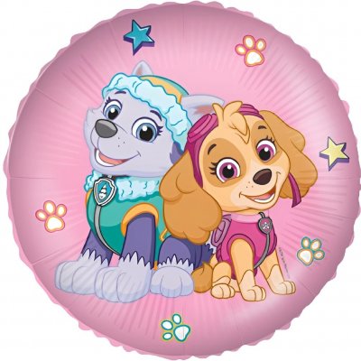 Procos Fóliový balón Paw Patrol Skye a Everest kruh 46 cm – Zbozi.Blesk.cz