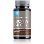 Siberian Wellness Essence of Botanics. Tree Mushroom Complex 60 kapslí – Hledejceny.cz