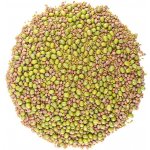 ZdravýDen Směs semen na klíčení 1 alfalfa ředkvička mungo 200 g – Hledejceny.cz