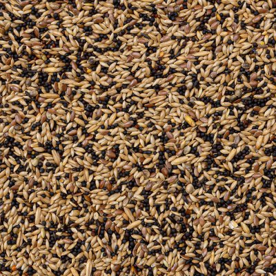 Deli Nature 53 Canaries Extra 20 kg – Zboží Dáma