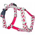 Amiplay Nastavitelné postroje Guard BeHappy – Zboží Mobilmania