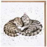 Wrendale Designs Přání Wrendale Designs "Sweet Dreams ", 15x15 cm - Kočky – Zboží Mobilmania
