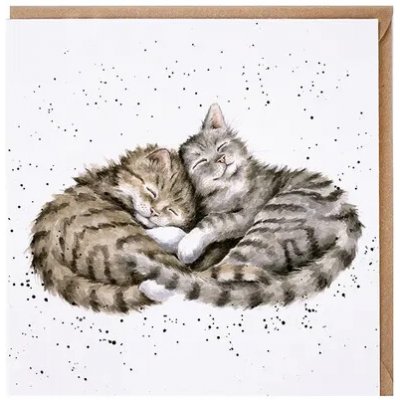 Wrendale Designs Přání Wrendale Designs "Sweet Dreams ", 15x15 cm - Kočky – Zboží Mobilmania