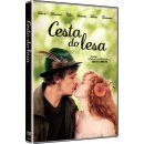 Cesta do lesa DVD