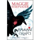Havraní chlapci - Havraní cyklus 1 - Maggie Stiefvater