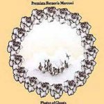 P.F.M. Premiata Forneria Marconi - Photos Of Ghosts +6 CD – Hledejceny.cz