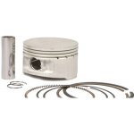 RMS 100090440 – Hledejceny.cz