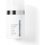 Dermalogica PowerBright TRx noční vyživující a rozjasňující krém pro pleť s hyperpigmentací (Pure Night) 50 ml – Zboží Dáma