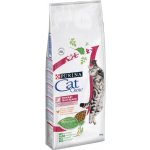 Cat Chow CAT CHOW Special Care Urinary 15 kg – Hledejceny.cz