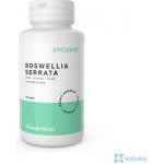 Epigemic Boswellia Serrata Epigemic 90 kapslí – Hledejceny.cz