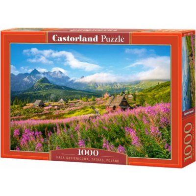 Castorland Dolina Gąsienicowa Tatry 1000 dílků – Zboží Mobilmania