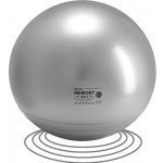 Gymnic Memory Ball 55cm – Zbozi.Blesk.cz
