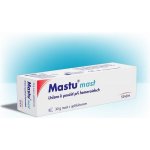 Stada Mastu mast 30 g – Hledejceny.cz