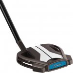 TaylorMade Spider Etna Tour X TP 3 Putter pravé 34 – Zboží Mobilmania