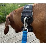 Dinofashion Stopovací vodítko pro velké psy – Zboží Dáma