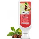 Jason Conditioner vlasový Jojoba 454 g