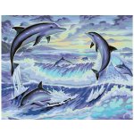 MALUJEŠ Malování podle čísel DELFÍNI II Rozměr 80 x 100 cm Rámování vypnuté plátno na rám – Hledejceny.cz