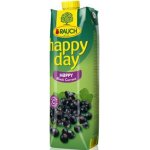 Rauch Happy Day černý rybíz 1 l – Zboží Dáma