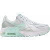 Dámské běžecké boty Nike obuv Wmns Air Max Excee fz3769-100