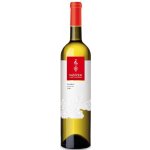 Vinařství Vašíček Sauvignon 2018 pozdní sběr polosuché 11,5% 0,75 l (holá láhev) – Hledejceny.cz