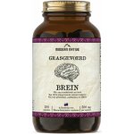 Modern Native Brein Sušený hovězí mozek v kapslích 500 mg 180 ks – Hledejceny.cz