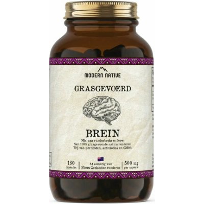 Modern Native Brein Sušený hovězí mozek v kapslích 500 mg 180 ks – Hledejceny.cz